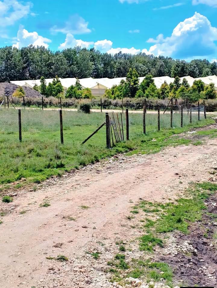 Kisaju Mua Plots for Sale.
