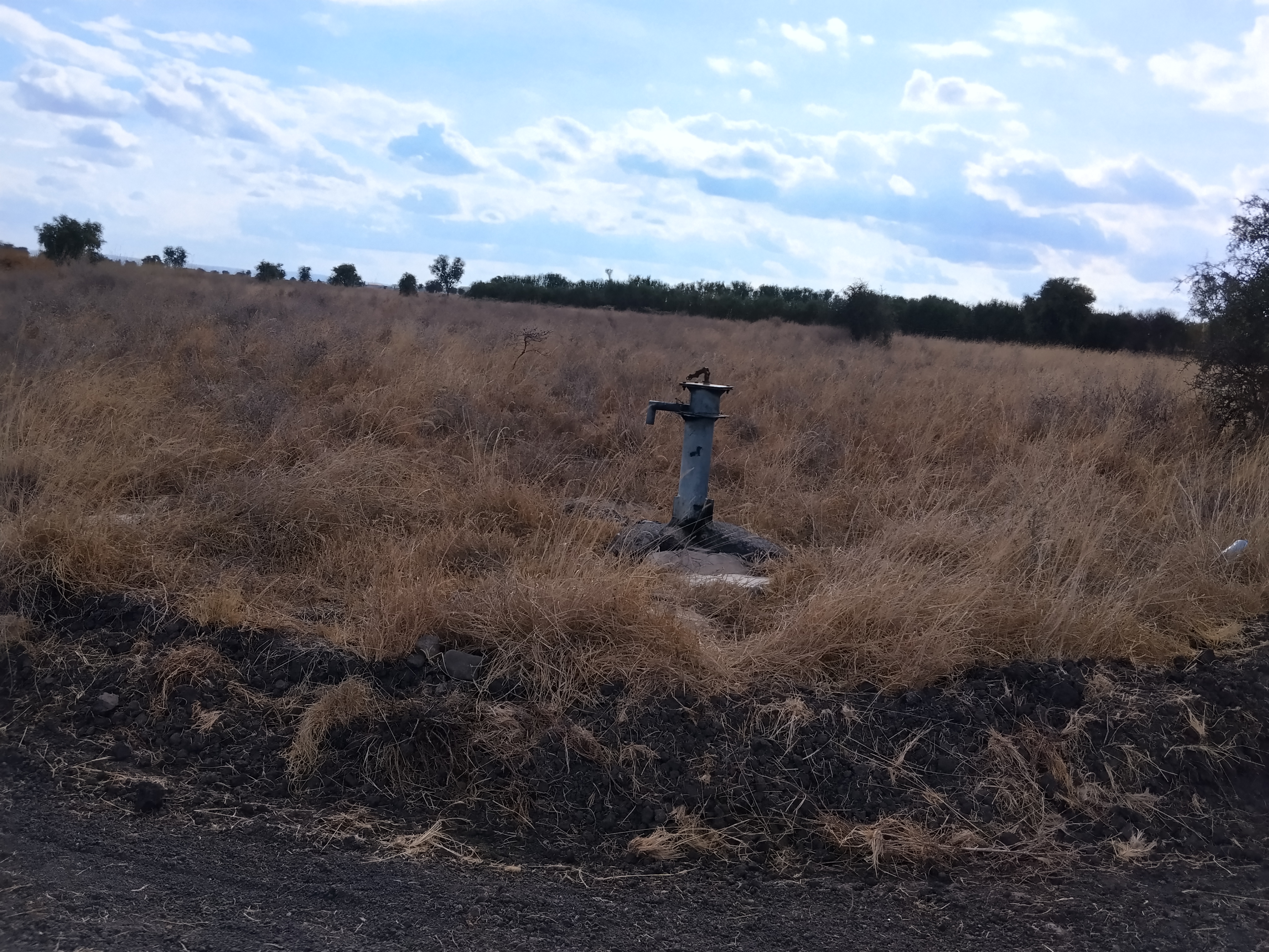 KAG PLOTS 