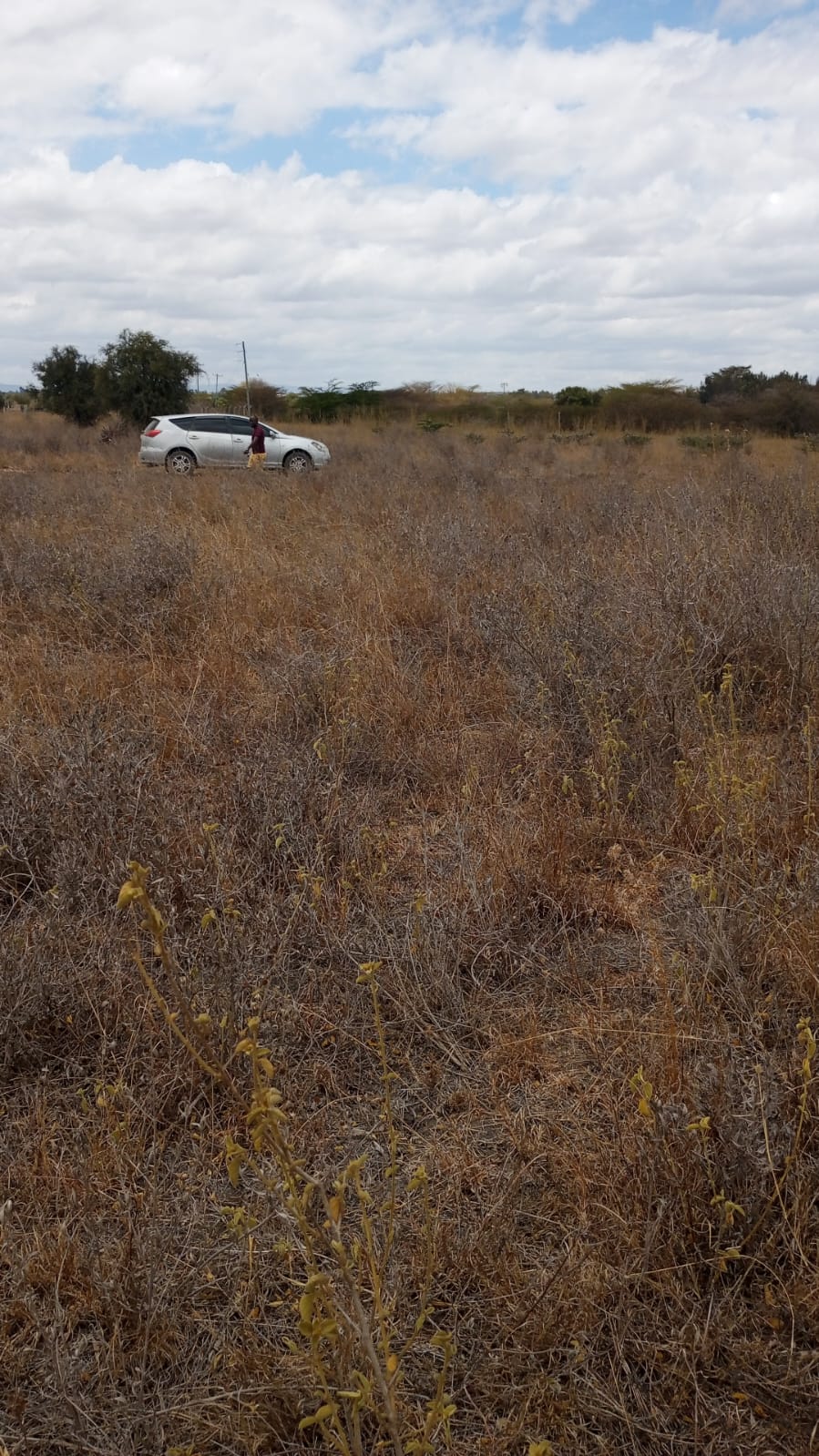 KAG PLOTS 