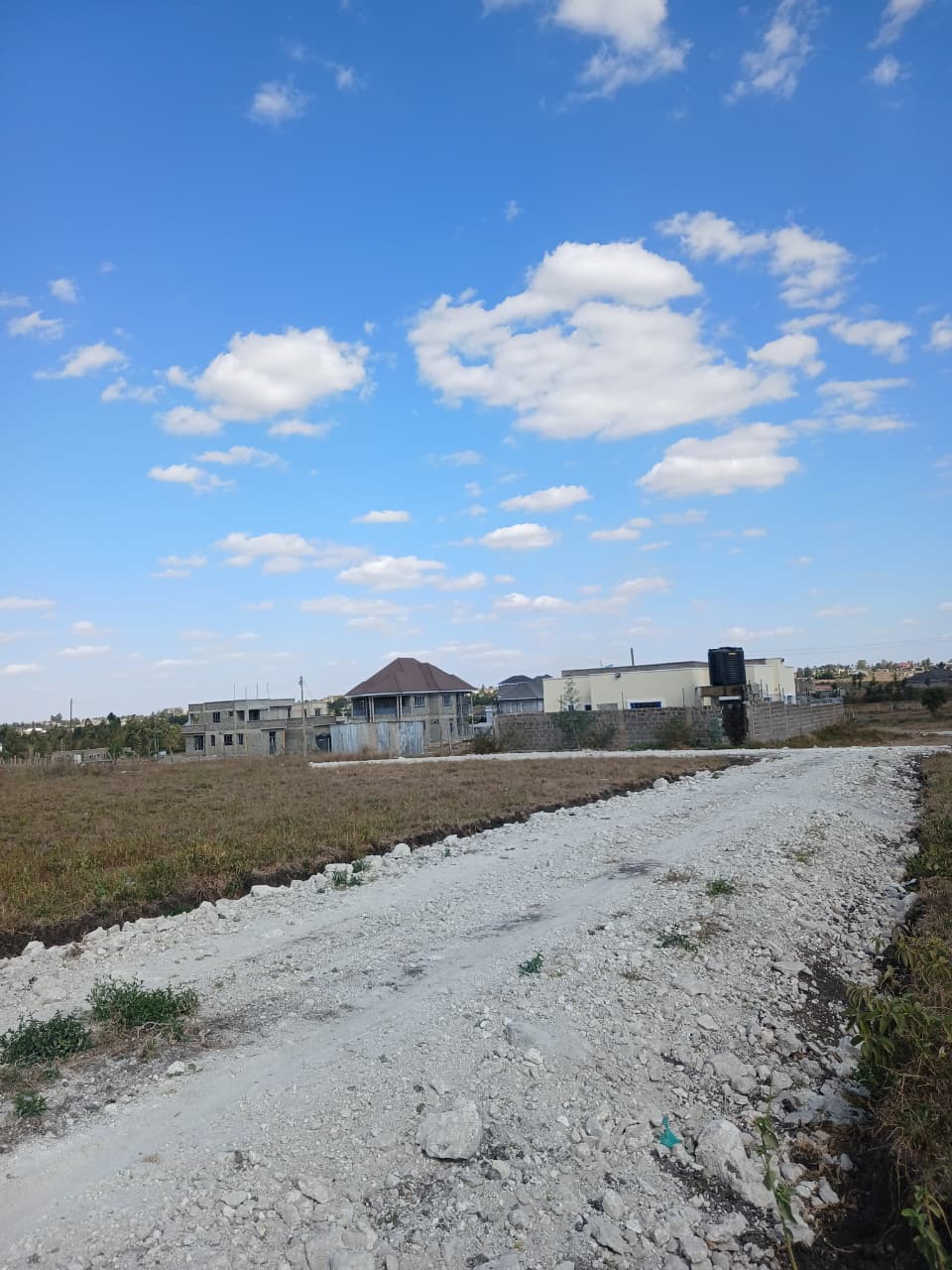 Milimani 