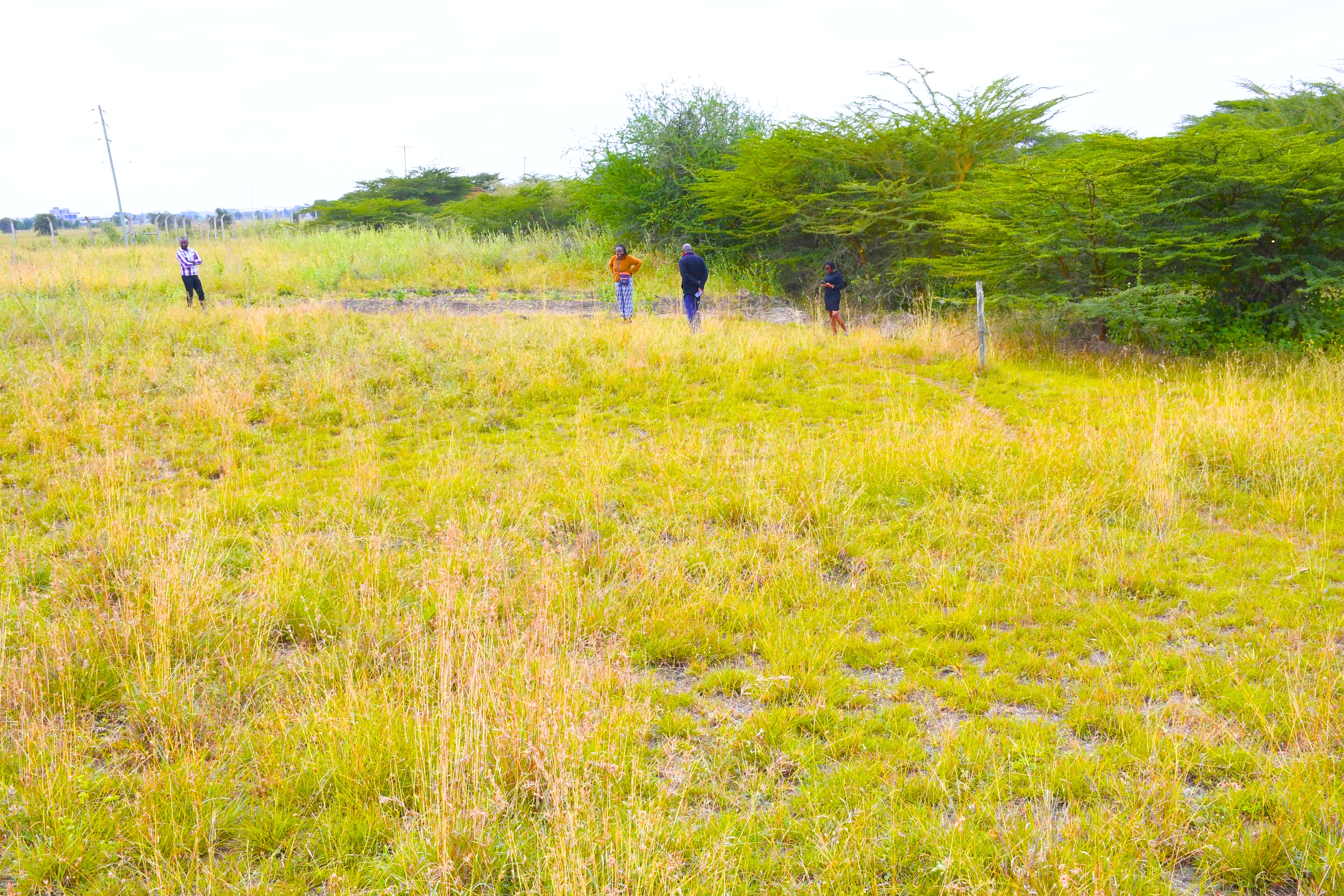 50x100 Plot in Kisaju near Fred Ranch