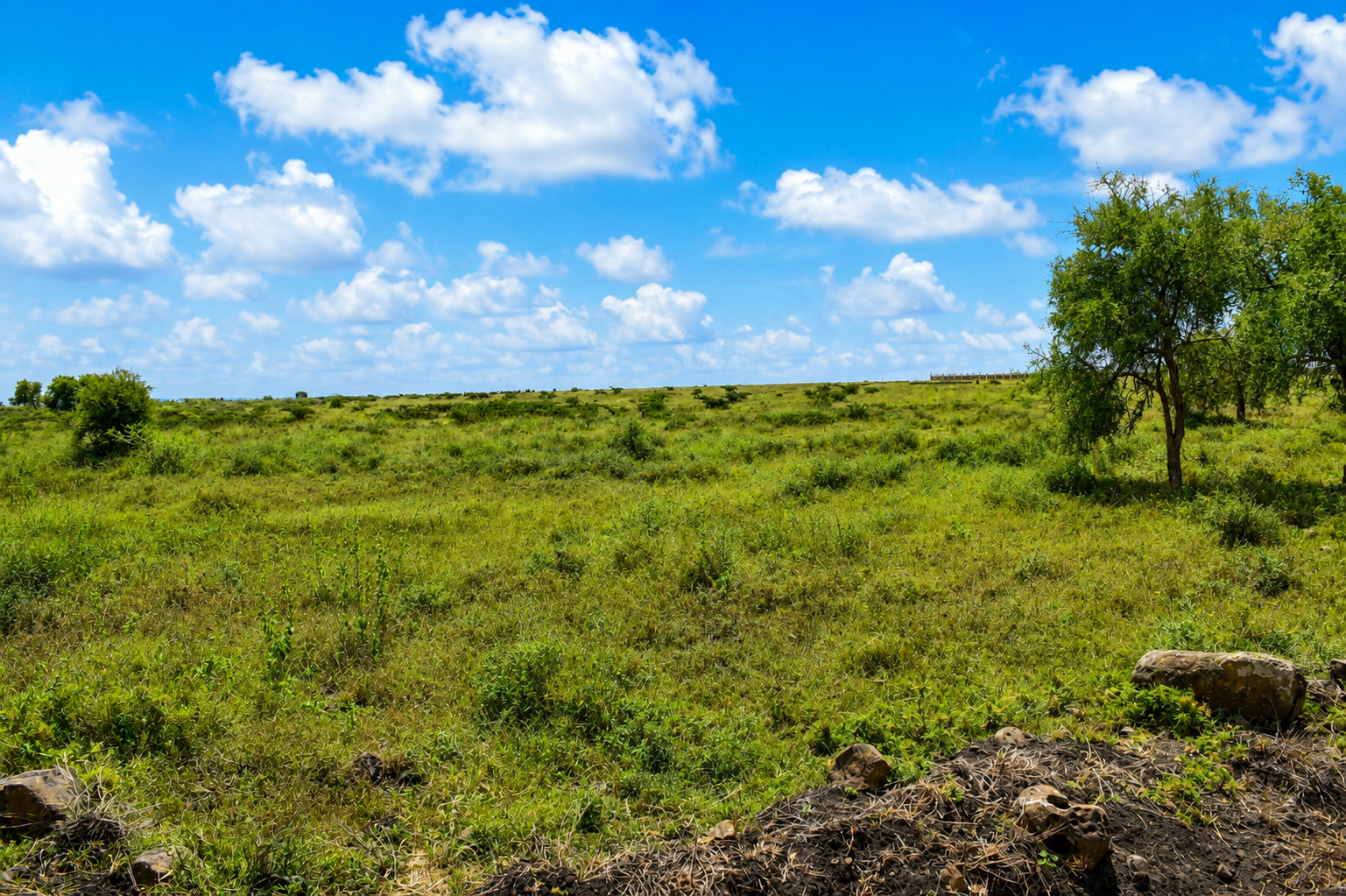 50x100 Plot in Kisaju near Fred Ranch